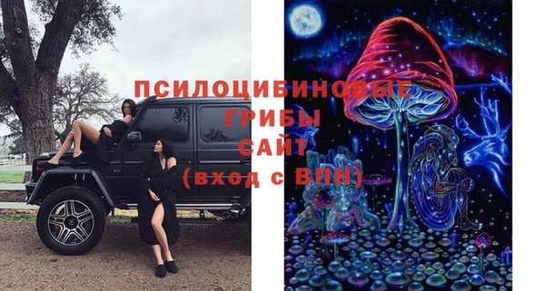 твердый Армянск