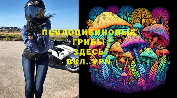 твердый Арсеньев