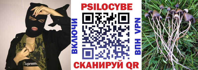 Псилоцибиновые грибы мухоморы Дудинка